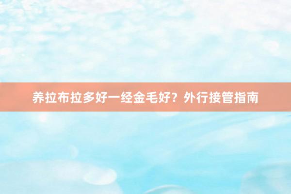 养拉布拉多好一经金毛好？外行接管指南