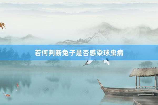 若何判断兔子是否感染球虫病